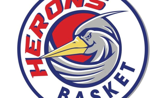 Herons Basket Montecatini, risolto il contratto di Federico Casoni