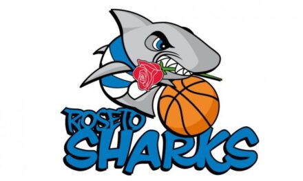 Comunicato Ufficiale Roseto Sharks: salta l’accordo con Stella Azzurra