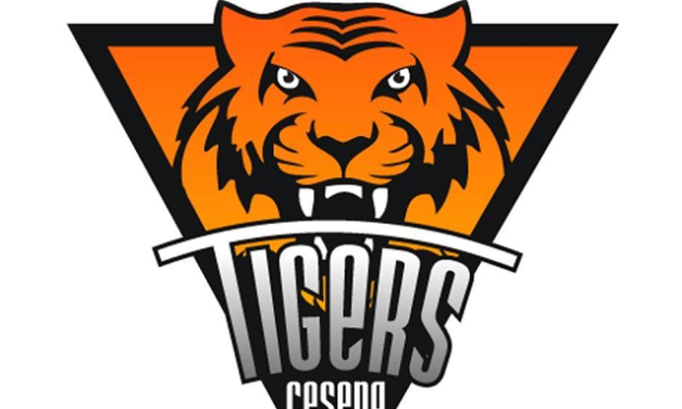 Tigers Cesena, Davide Tassinari sollevato dall’incarico di head coach